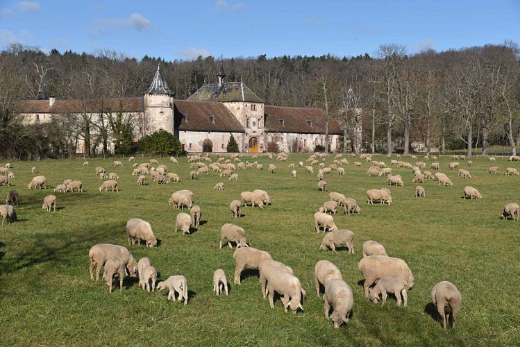 Circuit du patrimoine de Thanvillé