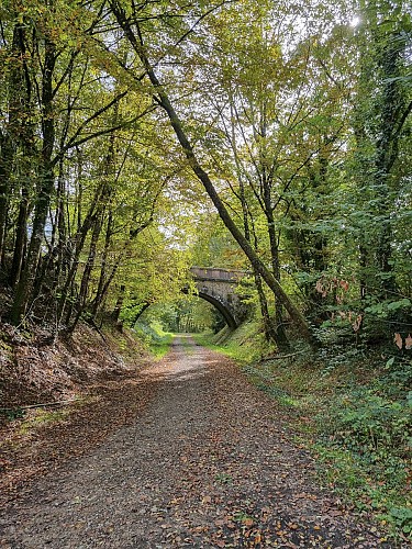 20241014_144236©OT Tulle en Corrèze