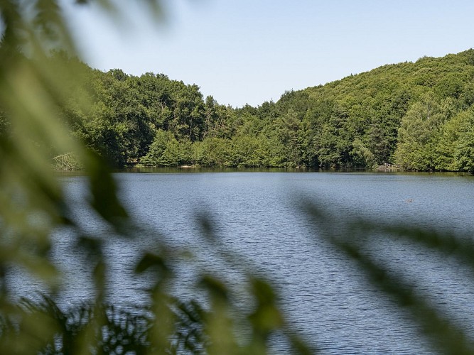 54718994952_abf454587a_k