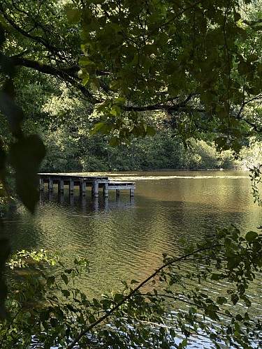 Étang de Lachamp, ponton en bois