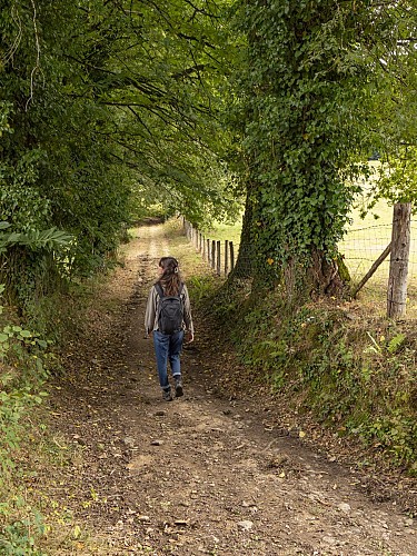 54891989139_d1b8da0333_k