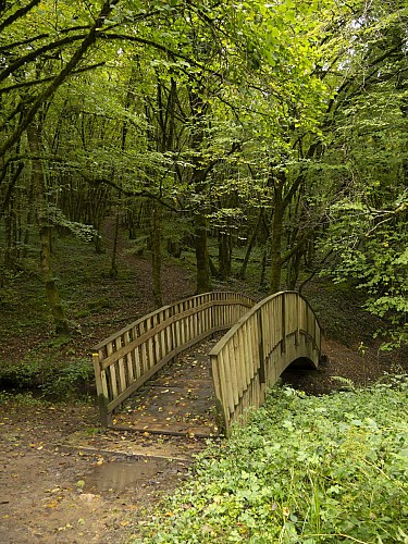 Pont de la Forêt de Blanchefort