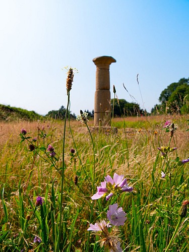 52031563909_fcfb839b8c_k