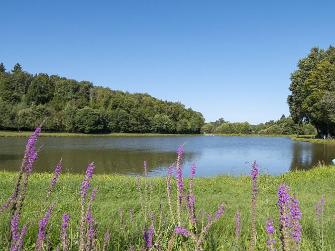 Etang de Saint Clément