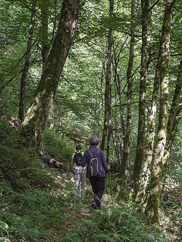 53918837395_7e29d29df4_k