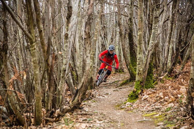 Enduro