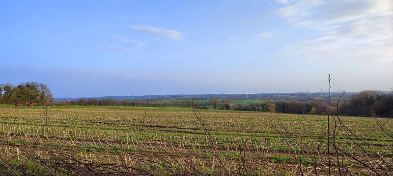 Point de vue sur l'Argoat | Gurunhuel