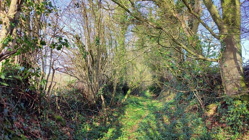 Un chemin entre des talus | Gurunhuel