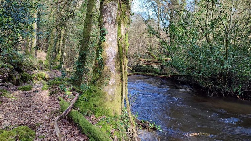 La berge du L2guer | Gurunhuel