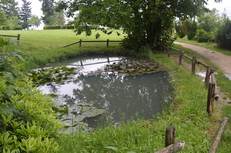 Sentier de plein-ciel