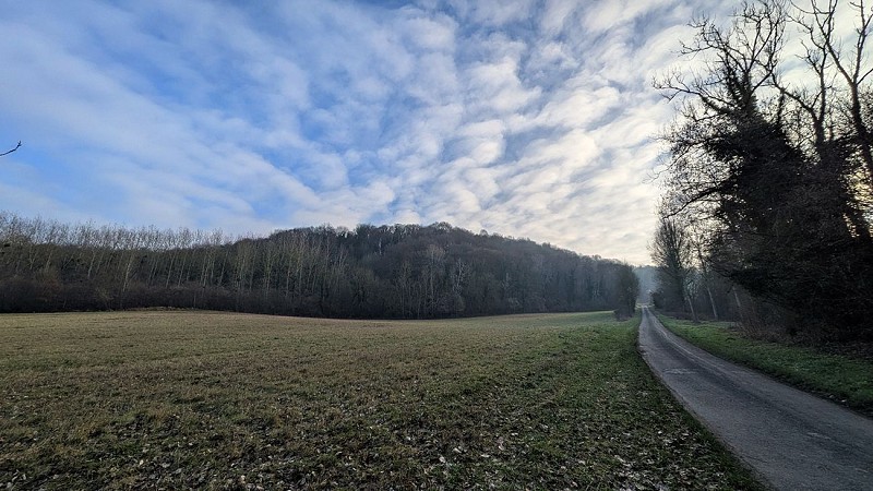 Route de la Paturelle II
