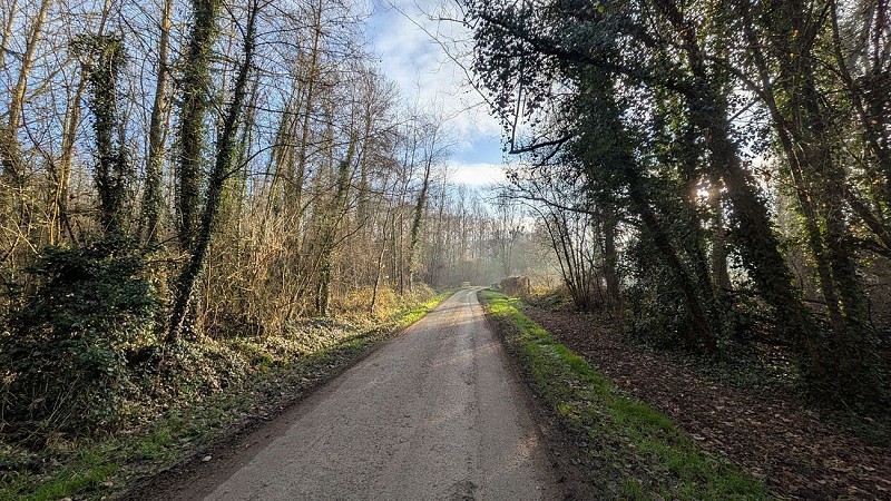 Route de la Paturelle I