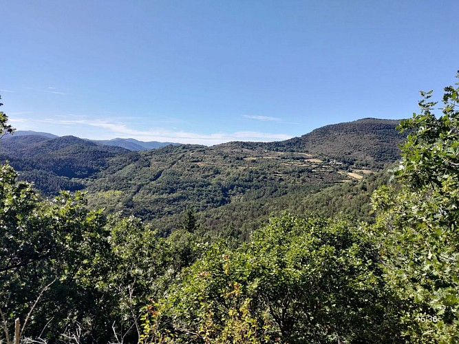 Panorama des Monts d'Orb