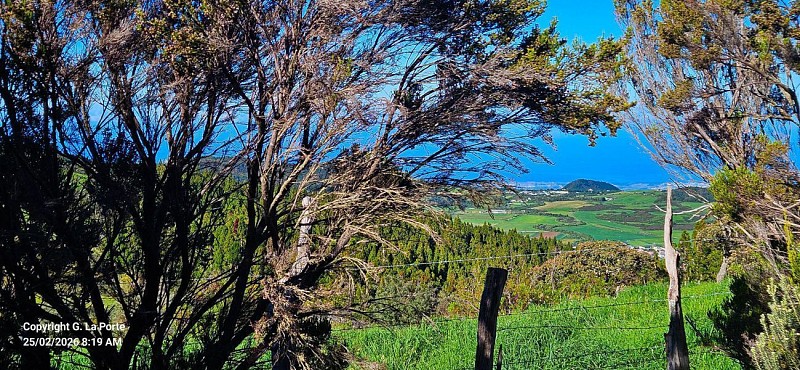 Boucle de l'Oratoire Ste Thérèse et de la Ravine du Petit Saint Pierre