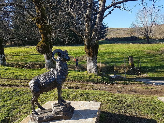 Maison du mouflon à Douch (Rosis)