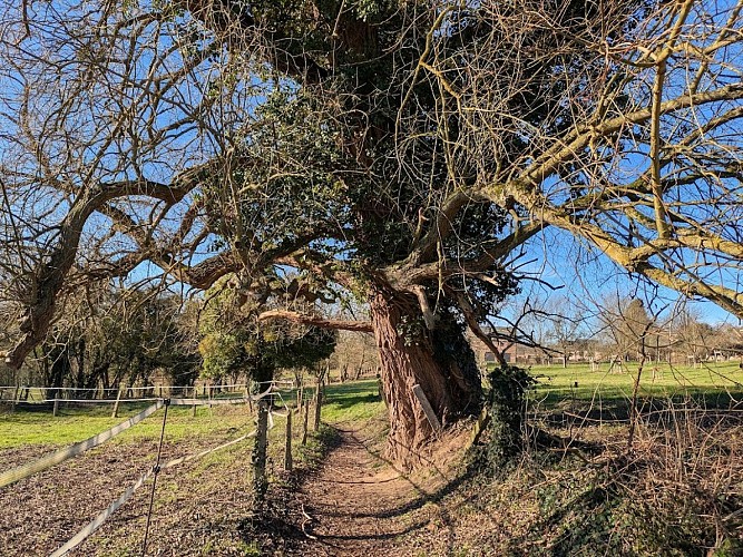 sentier des fiefs