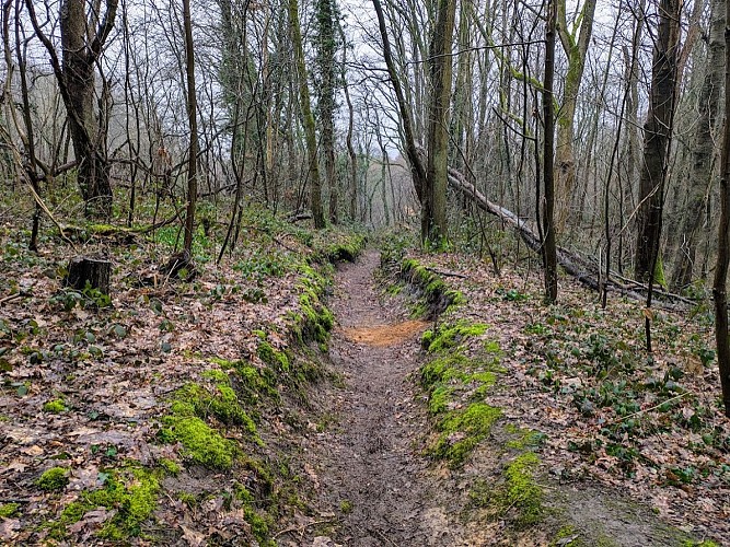 sentier à bouclettes