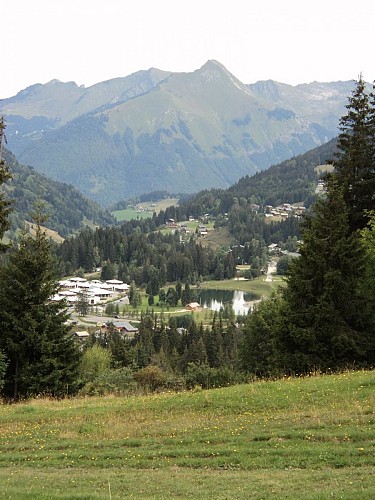 Les Bois de la Turche