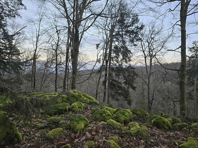 Randonnée - Circuit du Geisweg