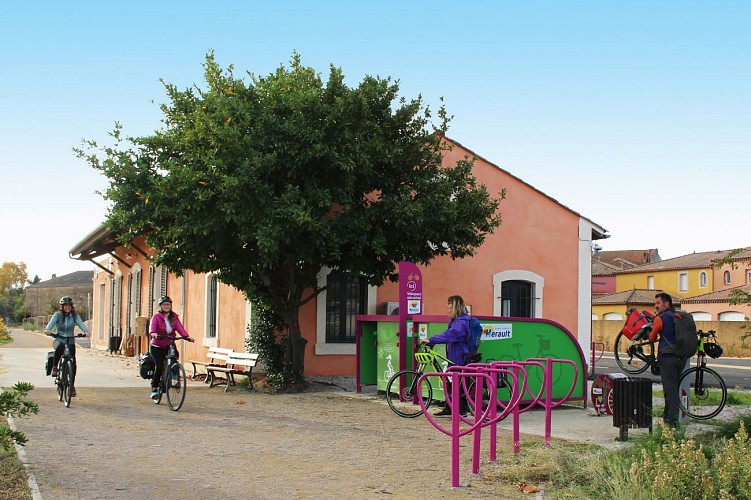 Oenovelo Saint-Chinian au Canal du Midi Halte Velo Cazouls