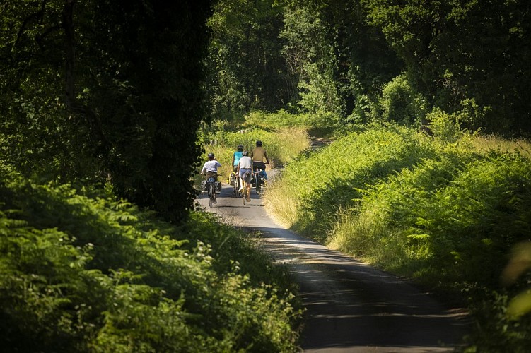 Petite route en Vallée de la Sarthe