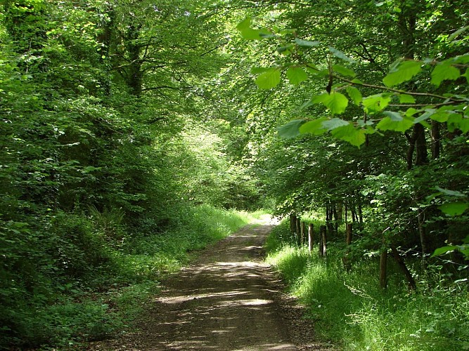 Circuit du Jet 2