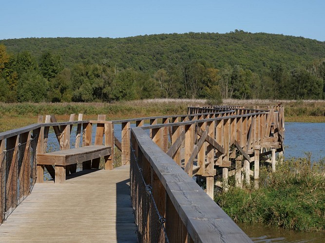 The Capelle Masmolène pond interpretation trail_La Capelle-et-Masmolène