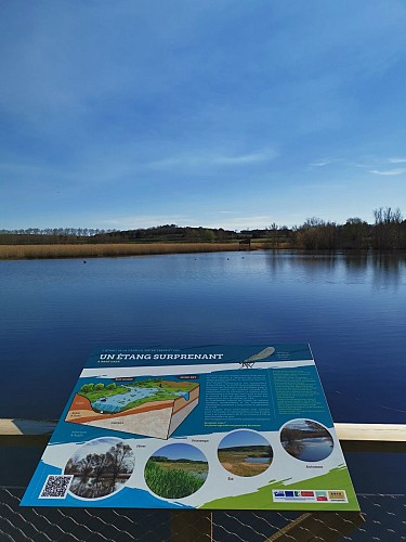 Recorrido de interpretación del estanque de Capelle Masmolène