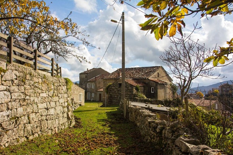 IMG-1611-9712-2