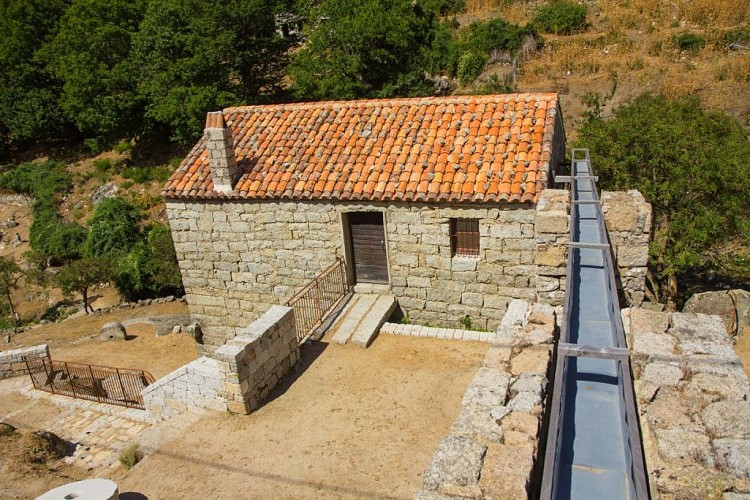 IMG-1608-7480-2