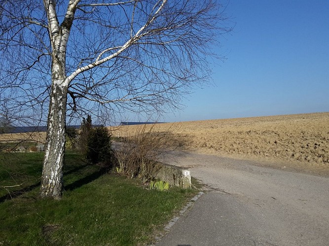 Sentier pédestre : Autour de Siegen