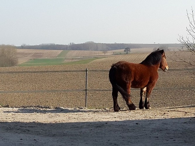 Sentier pédestre : Autour de Siegen
