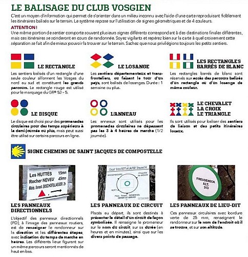 Petit circuit autour des châteaux de Wangenbourg et du Freudeneck