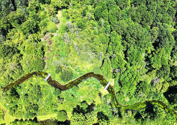 L'Aigre au milieu de sa zone humide