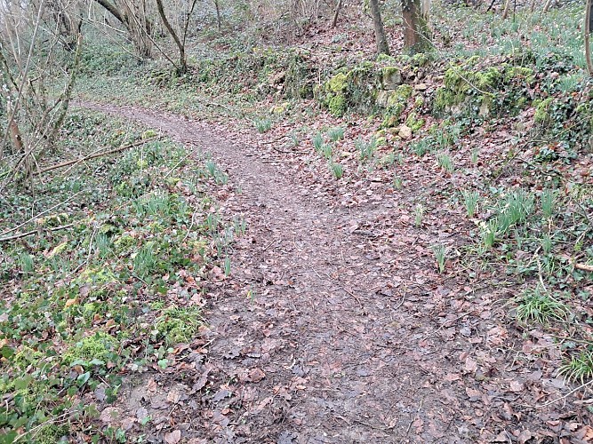 Sentier des moines