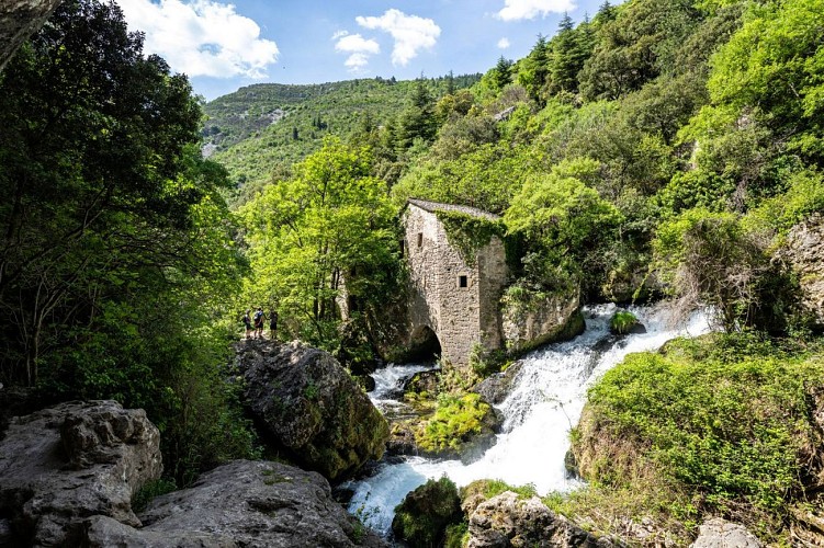 Moulins de la Foux - Loïc Fermy