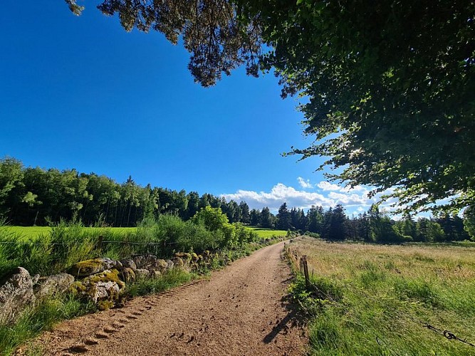 En direction de St Flour de Mercoire