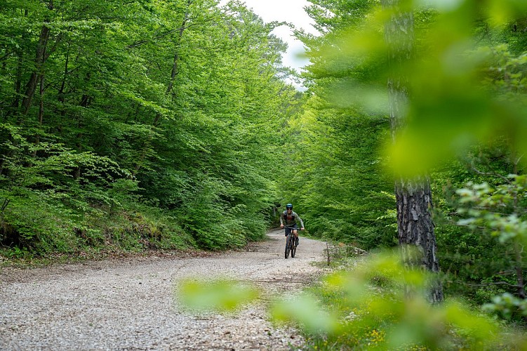N°3 Circuit VTT et Gravel : Le Vallon du Riou