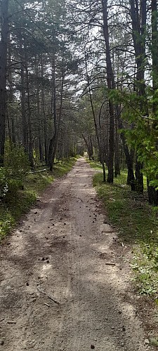 N°5 Circuit VTT et Gravel : Les sources du Fontanil
