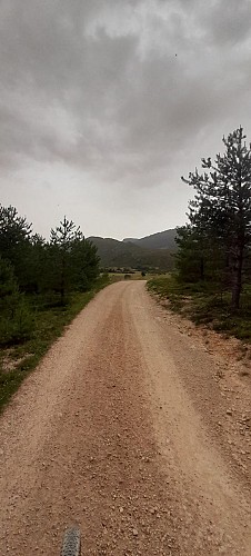 Circuit VTT et Gravel N°5 : Les sources du Fontanil_Saint-Auban