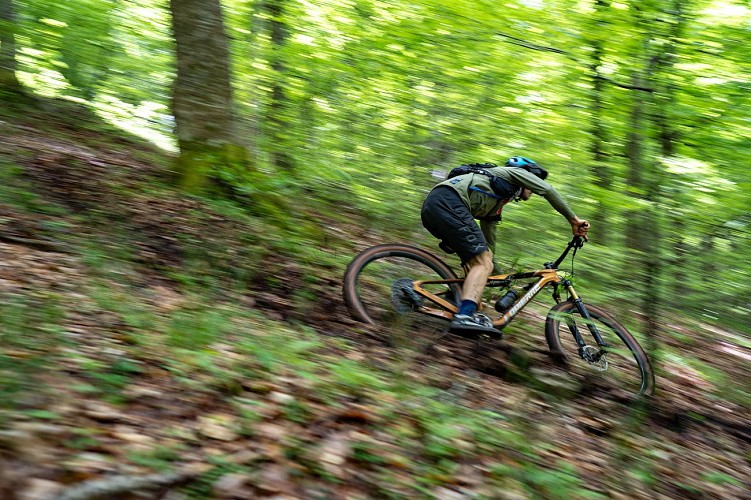 Le Grand tour des Préalpes d’Azur en VTT_Gréolières