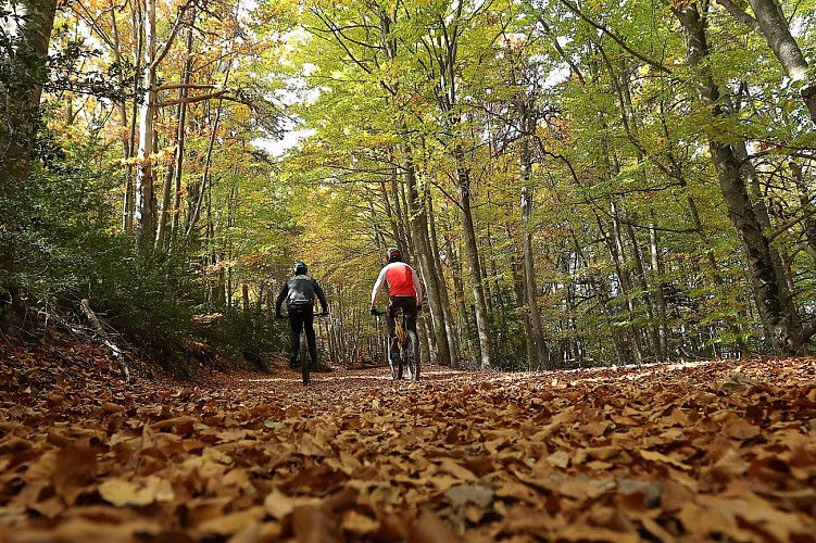 Le Grand tour des Préalpes d’Azur en VTT_Gréolières