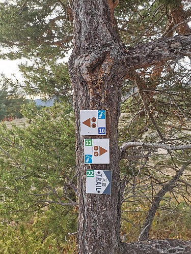 Circuit VTT N°10: La Nordique_Gréolières
