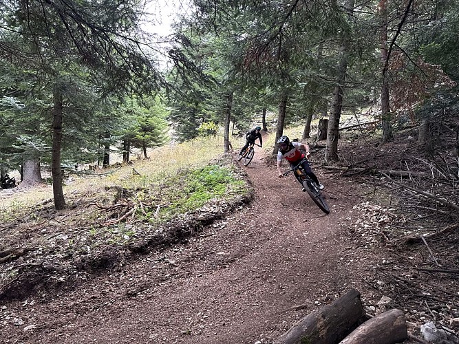 Circuit VTT N°50 La Pitchoun