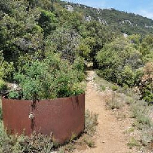 The Charbonnières Trail_Escragnolles