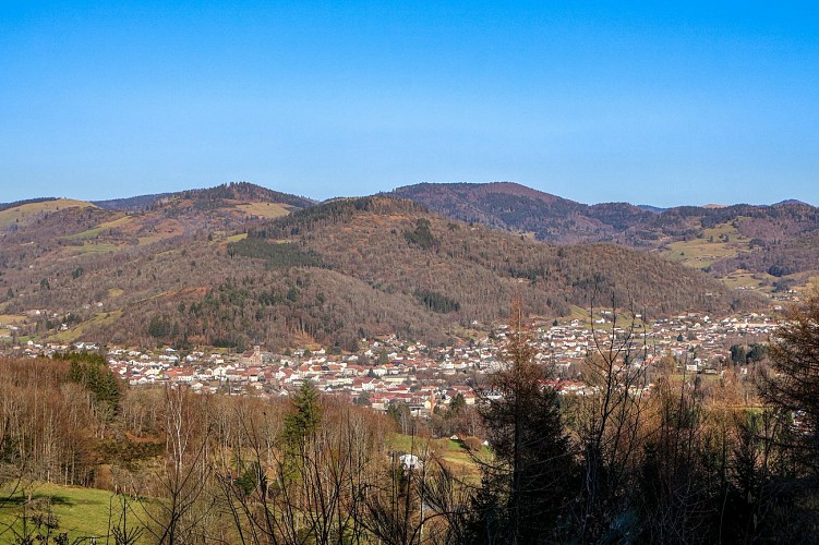 Trail track 2 - Le Tacot du Thillot