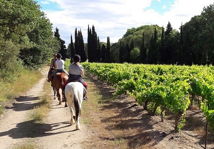 Horseback riding