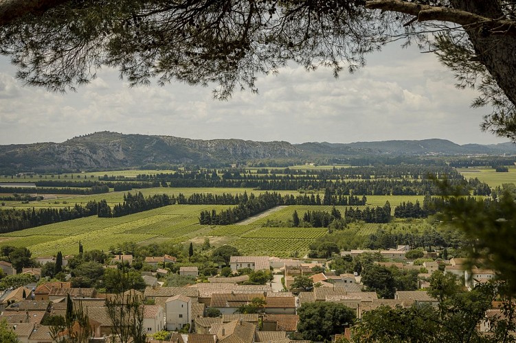 Boucle gravel N° 6-Route des caves coop gardoises