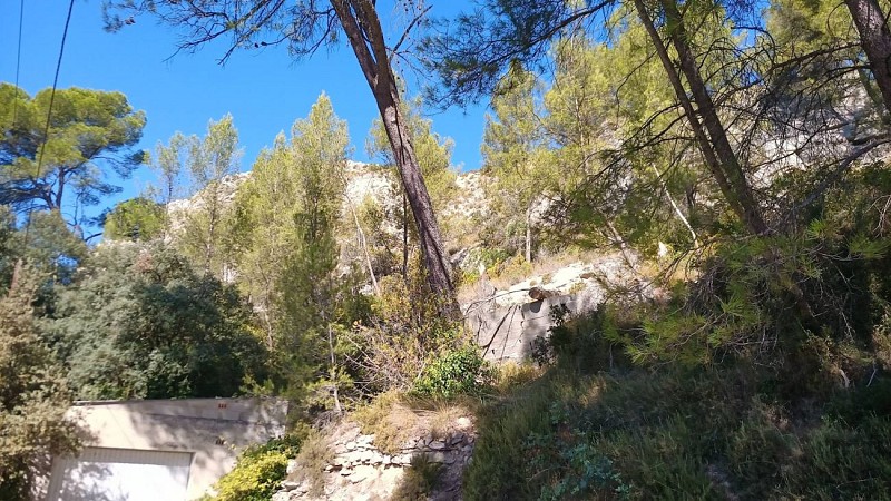 Promenade à cheval - La Roque d'Aubais