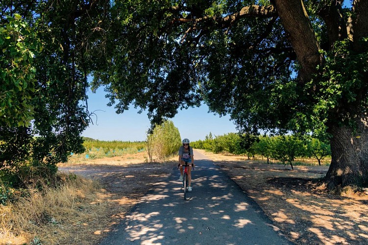 Parcours gravel à Bellegarde - Entre Vignes et canal_Bellegarde